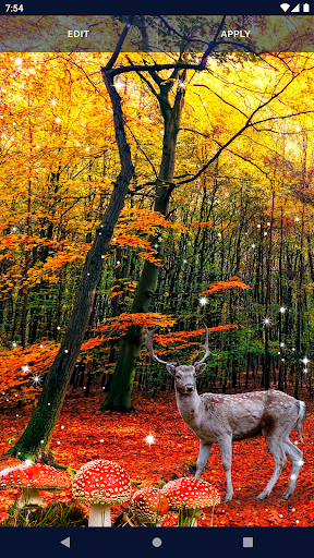 Forest Live Wallpaper - APK Download for Android | Aptoide