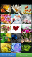 Flowers HD Wallpapers screenshot 0