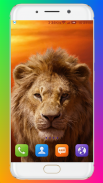 Lion Wallpaper HD screenshot 7