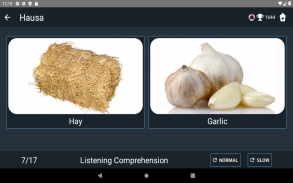 Hausa Language Tests screenshot 5