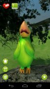 Popo Parrot Match Free screenshot 4