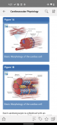 STS Cardiothoracic Surgery screenshot 3