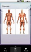 BODY LASER SYSTEM BLS Android screenshot 4