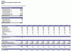 Income Statement Templates screenshot 2