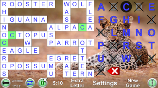 코드 워드 게임을 사용하여 영어를 알아 screenshot 6