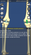 3D Bones and Organs (Anatomy) screenshot 4