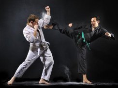 Karate techniques screenshot 1