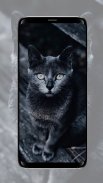 Cat Wallpaper screenshot 6