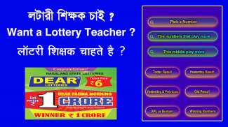 Lottery Master Pro Dear Result screenshot 5