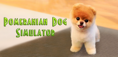 Pomeranian Dog Simulator