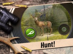 Hunting Clash: Κυνηγετικό 3D screenshot 12