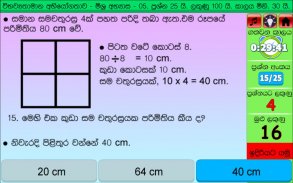 ශිෂ්‍යත්වයට විභව්‍යතා පෙරහුරු අභ්‍යාස. Grade5 screenshot 3