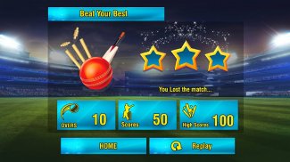 World Cricket Cup Tournament screenshot 19