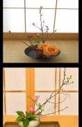 ikebana flower arrangements screenshot 7