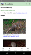 Australian Mammals screenshot 14