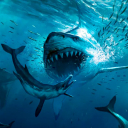 Megalodon Simulator Icon