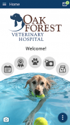 Oak Forest Vet screenshot 1