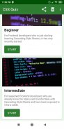 CSS Quiz screenshot 8