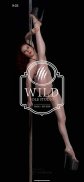 Wild Pole Studio screenshot 2