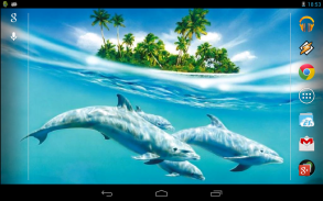 Magic Touch: Dolphins screenshot 0