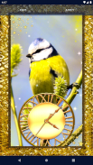 Bird Parrots HD Live Wallpaper screenshot 6
