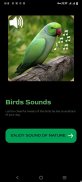 Birds Sounds Ringtones screenshot 4