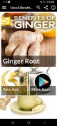 Uses & Benefits of Ginger Root screenshot 9