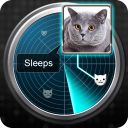 猫のジョークを作る何レーダー Icon