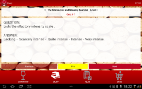 Sommelier TEST - English screenshot 9