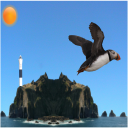 Flying Puffin