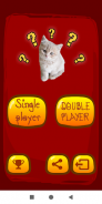 True False Trivia Cats quiz screenshot 9