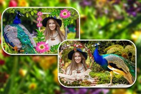 Peacock Photo Frames screenshot 4