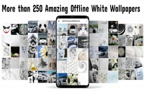 White Wallpapers HD screenshot 5