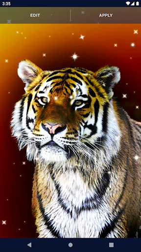 3D Tiger 4K  HD Wallpapers