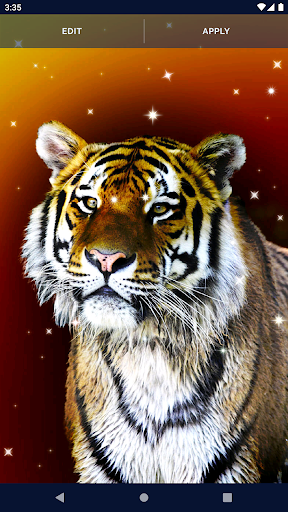 Tigers by Live Wallpaper HD 3D live wallpaper for Android. Tigers