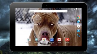 Бойцовские собаки живые обои screenshot 11