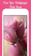Pink Rose Live Wallpaper 2019 Pink Rose LWP screenshot 4