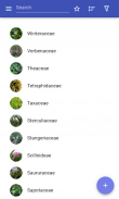 Botanische Familien screenshot 7