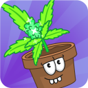 Pocket Buddy Icon