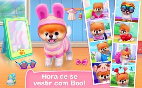 Boo — Cachorro bonitinho screenshot 0