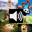 Animal Sounds HD (Free) Icon