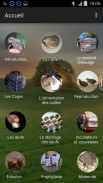 Quail breeding (Guide) screenshot 0