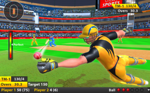 Indian Cricket League Game - T20 Cricket 2020 screenshot 5