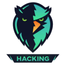 Learn Ethical Hacking icon