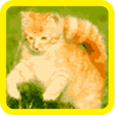 Cat Color Number - Pixel Art Icon