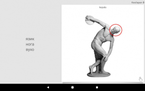 Belajar perkataan Bahasa Ukraine dengan Sm-Teacher screenshot 13