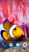 Ocean Fish HD Wallpapers screenshot 1