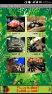 Animal Quiz - Wild Kingdom screenshot 0