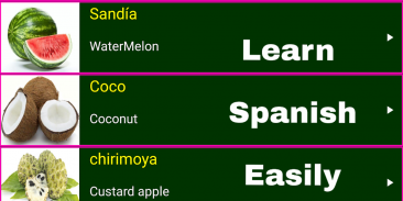 Learn Spanish From English screenshot 3