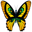 Butterflies Stickers - WAStickerApps